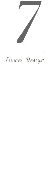 7.
